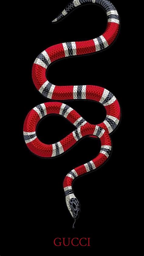 serpent gucci pinterest|gucci snake logo.